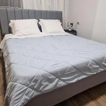 Comfortable Apartment
